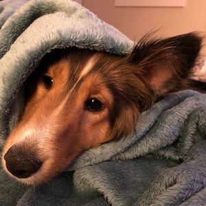 Meet your Posher, Kaitlynn